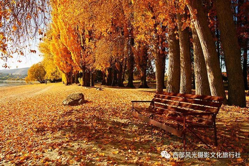 探索无限可能,尽在你喜欢的人和自己的前途,如果只能选一个你会怎么选?问答交流平台!